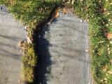 image of grave number 658952